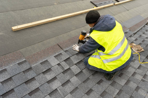 Best Roof Repair Services  in Danville, AR