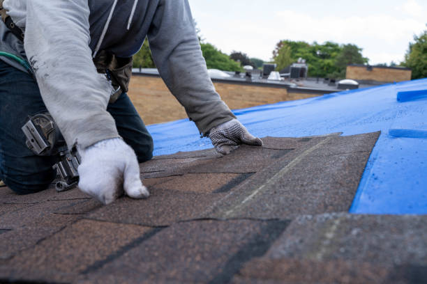 Best Flat Roof Repair Services  in Danville, AR