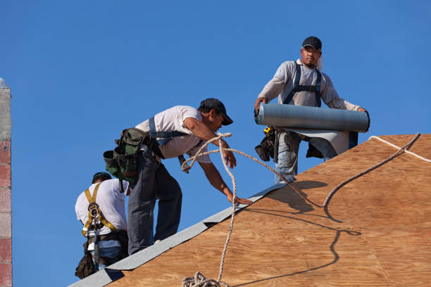 Best Residential Roofing Contractor  in Danville, AR