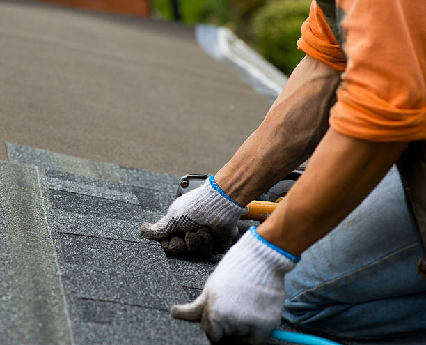 Best Commercial Roofing Services  in Danville, AR