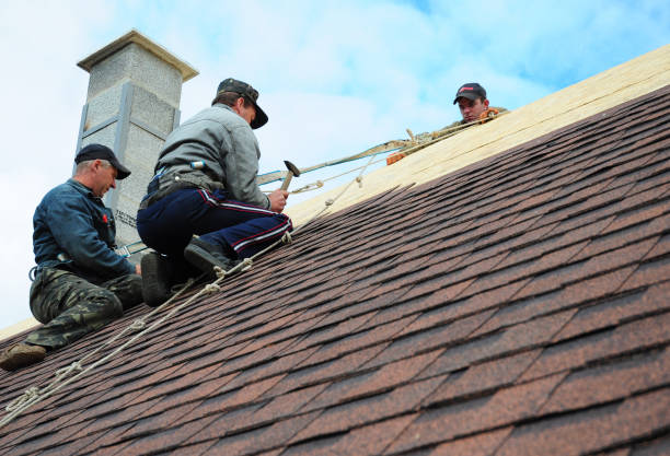 Best Local Roofing Companies  in Danville, AR
