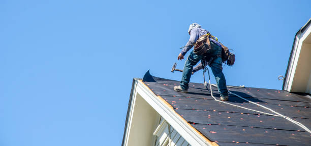 Best Gutter Installation and Roofing  in Danville, AR